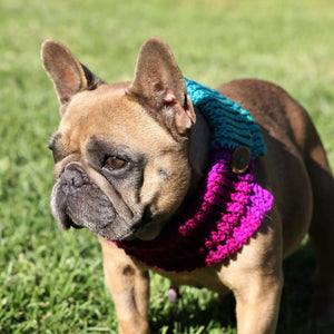 fancy neck warmer for pets fancybullcreations bully frenchy
