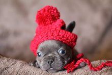 Load image into Gallery viewer, red french bulldog beanie hat