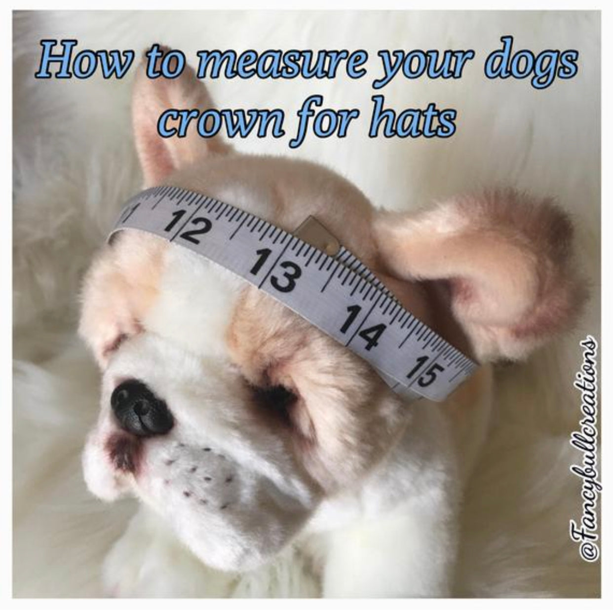 Winter Puppy Dog Hats Frenchie wear French Fashion FANCYBULL CREATIONS