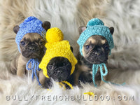 healthy french bulldog puppies for sale in xnard ca