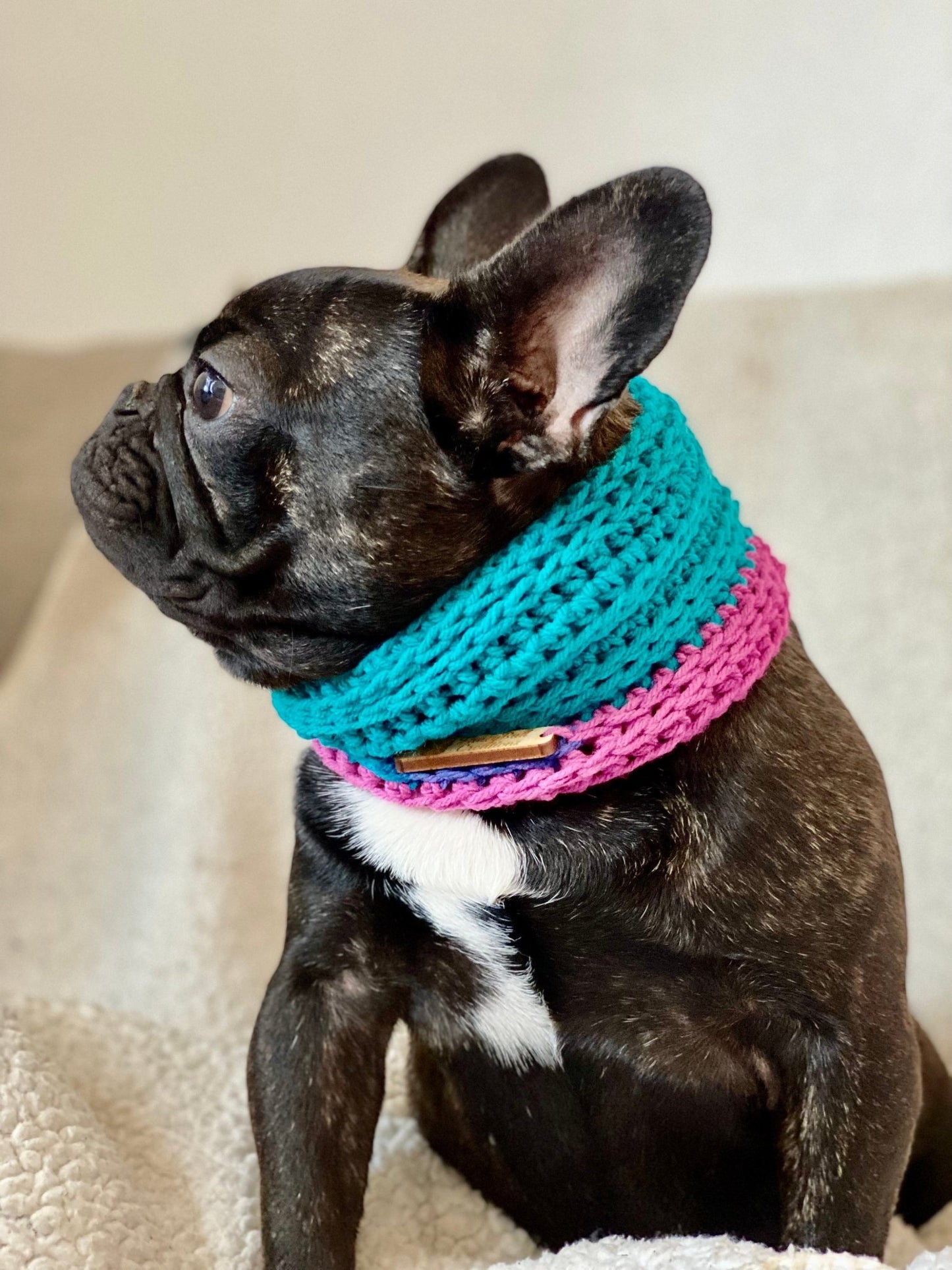 Bright Colors Dog Snood neck warmer - FancyBull Creations