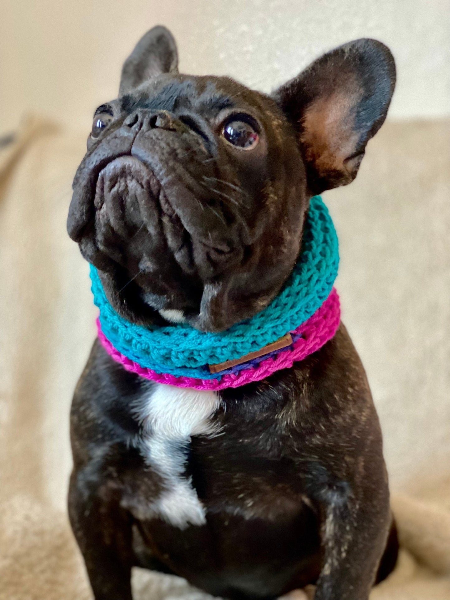 Bright Colors Dog Snood neck warmer - FancyBull Creations