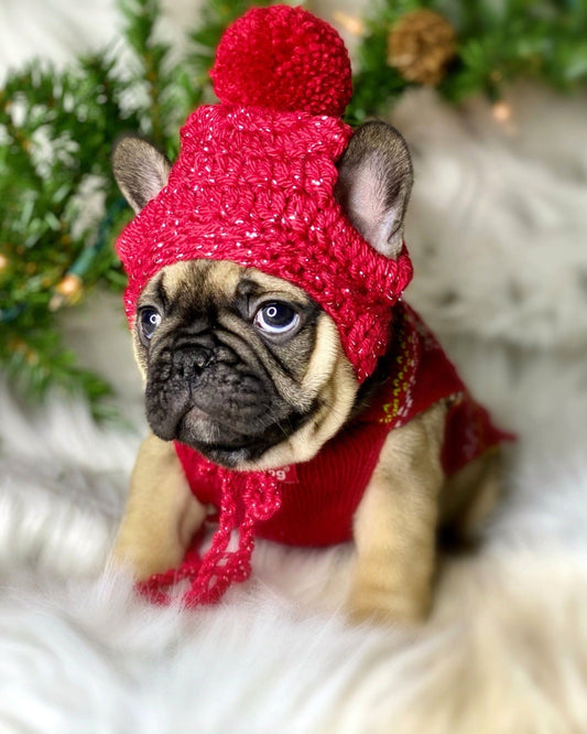 Christmas Holiday Hats for puppies and Small Breed Dogs - FancyBull Creations