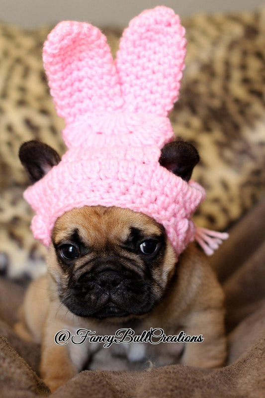 Crochet Easter Bunny small puppy pet hat - FancyBull Creations