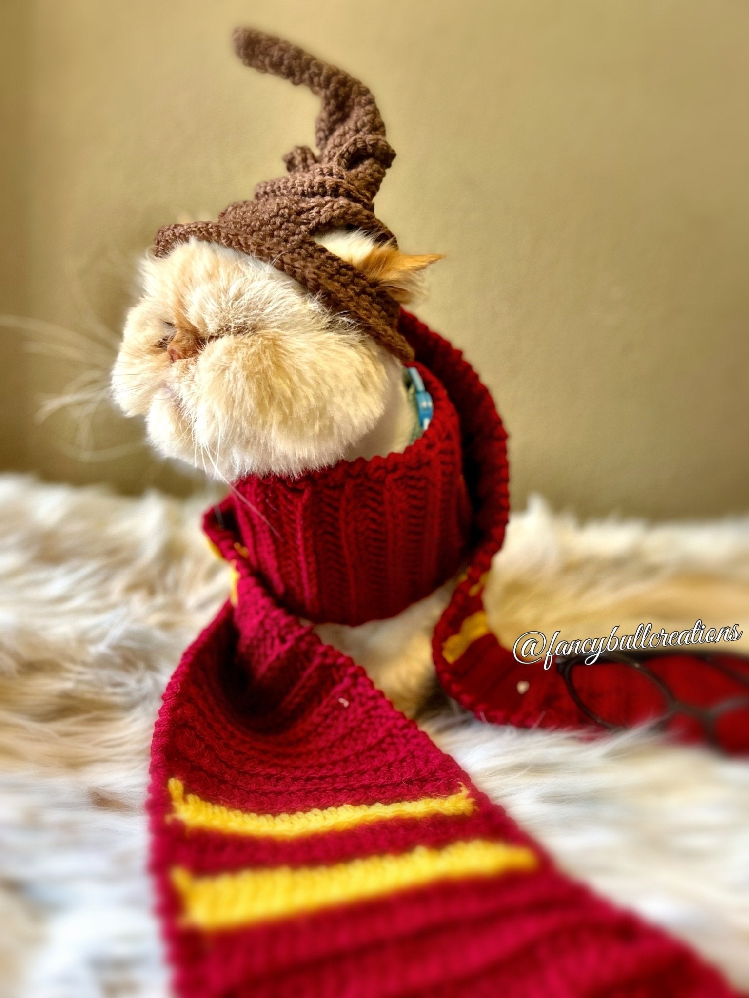 Custom Harry Potter Sorting Wizard Hat Small Dog or Cat Hogwarts - FancyBull Creations