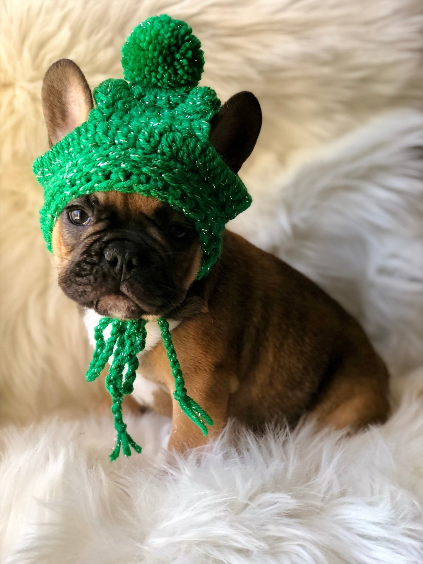 French Bulldog pup pom pom Holiday beanie hat - FancyBull Creations