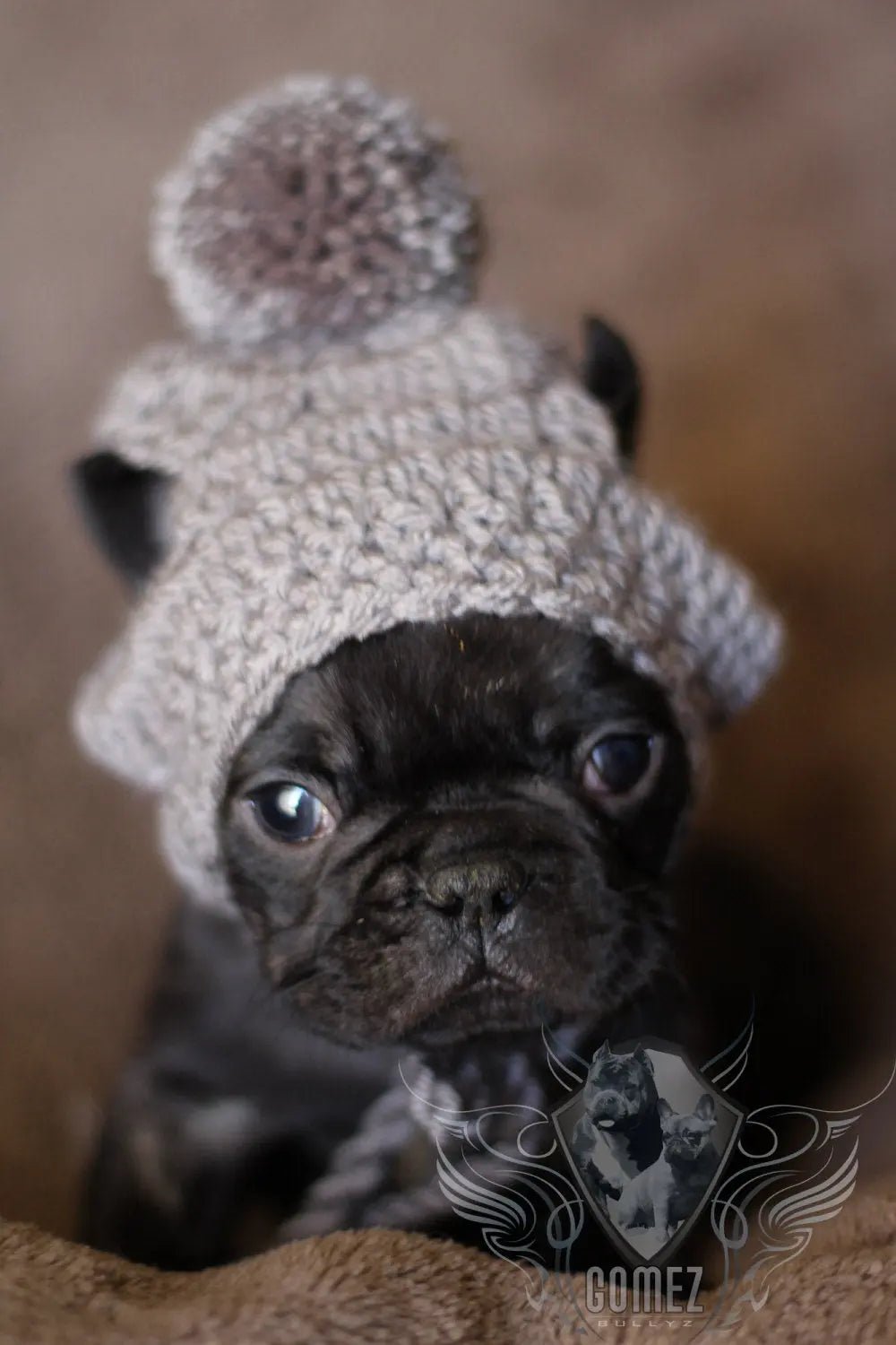 Handmade crochet puppy dog pom pom beanie - FancyBull Creations