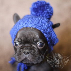 Handmade crochet puppy dog pom pom beanie - FancyBull Creations