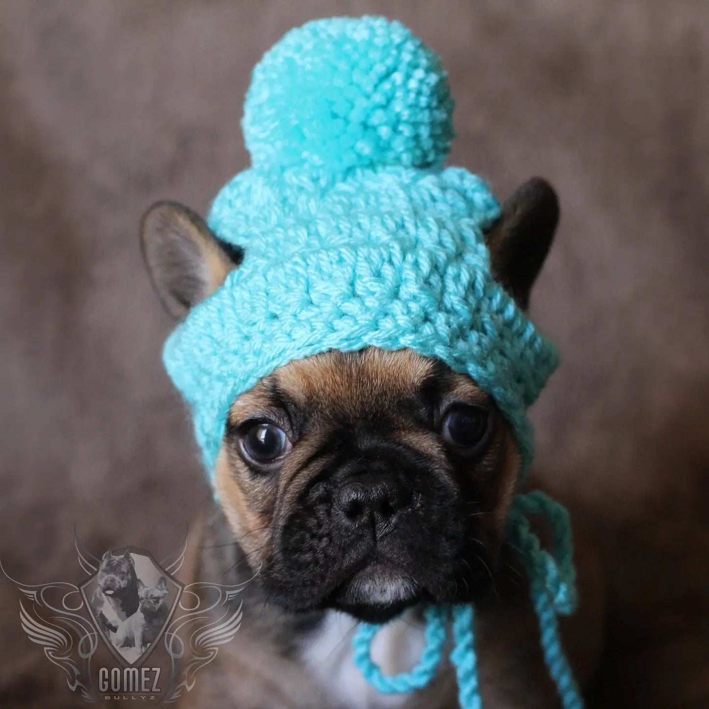 Handmade crochet puppy dog pom pom beanie - FancyBull Creations