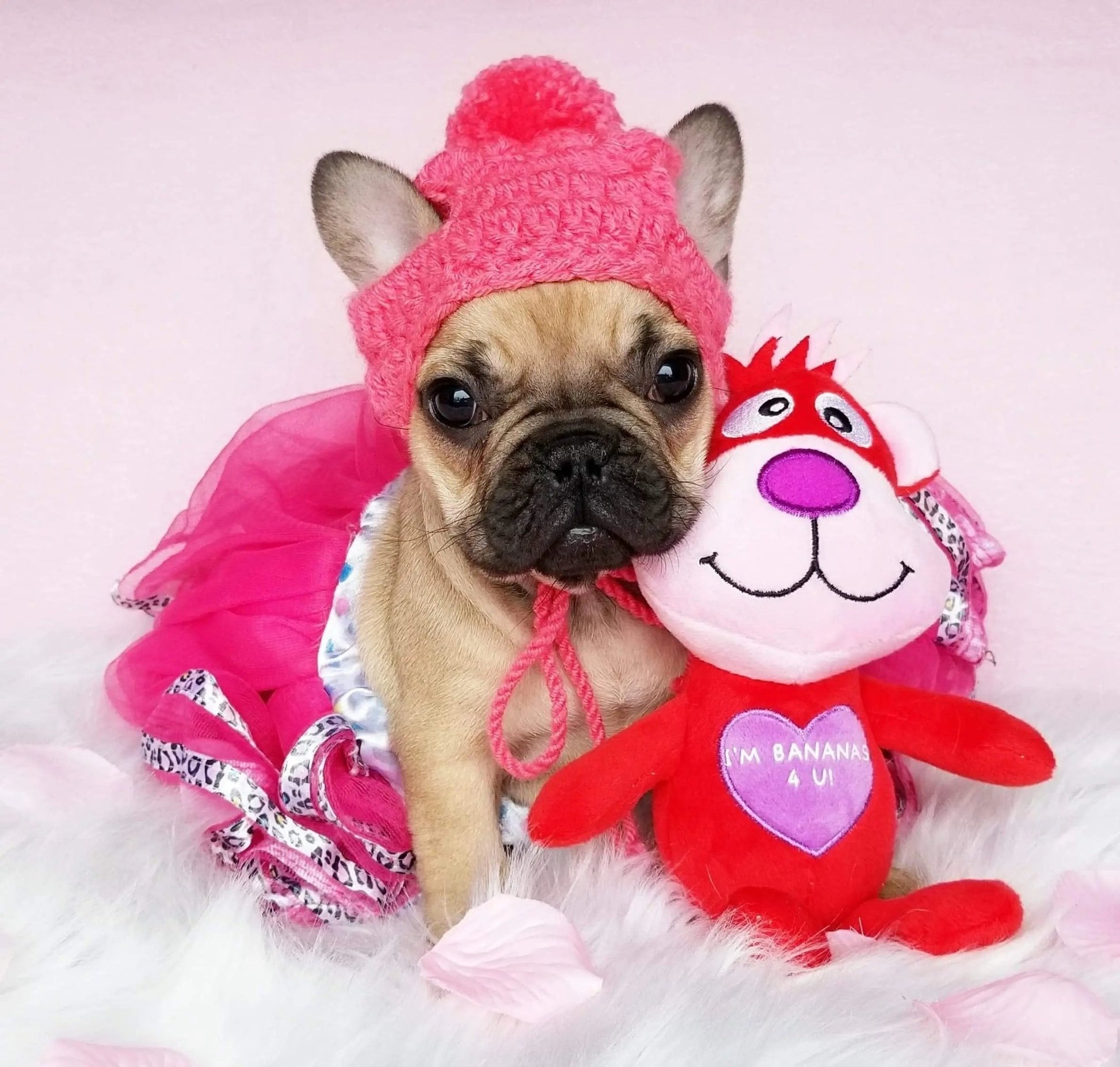 Pink and Purple Puppy Winter Hats - FancyBull Creations