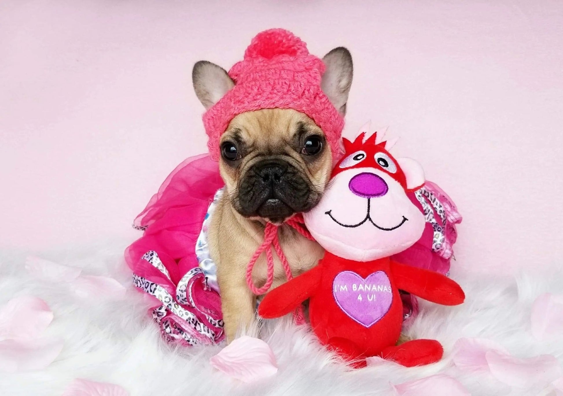 Pink and Purple Puppy Winter Hats - FancyBull Creations