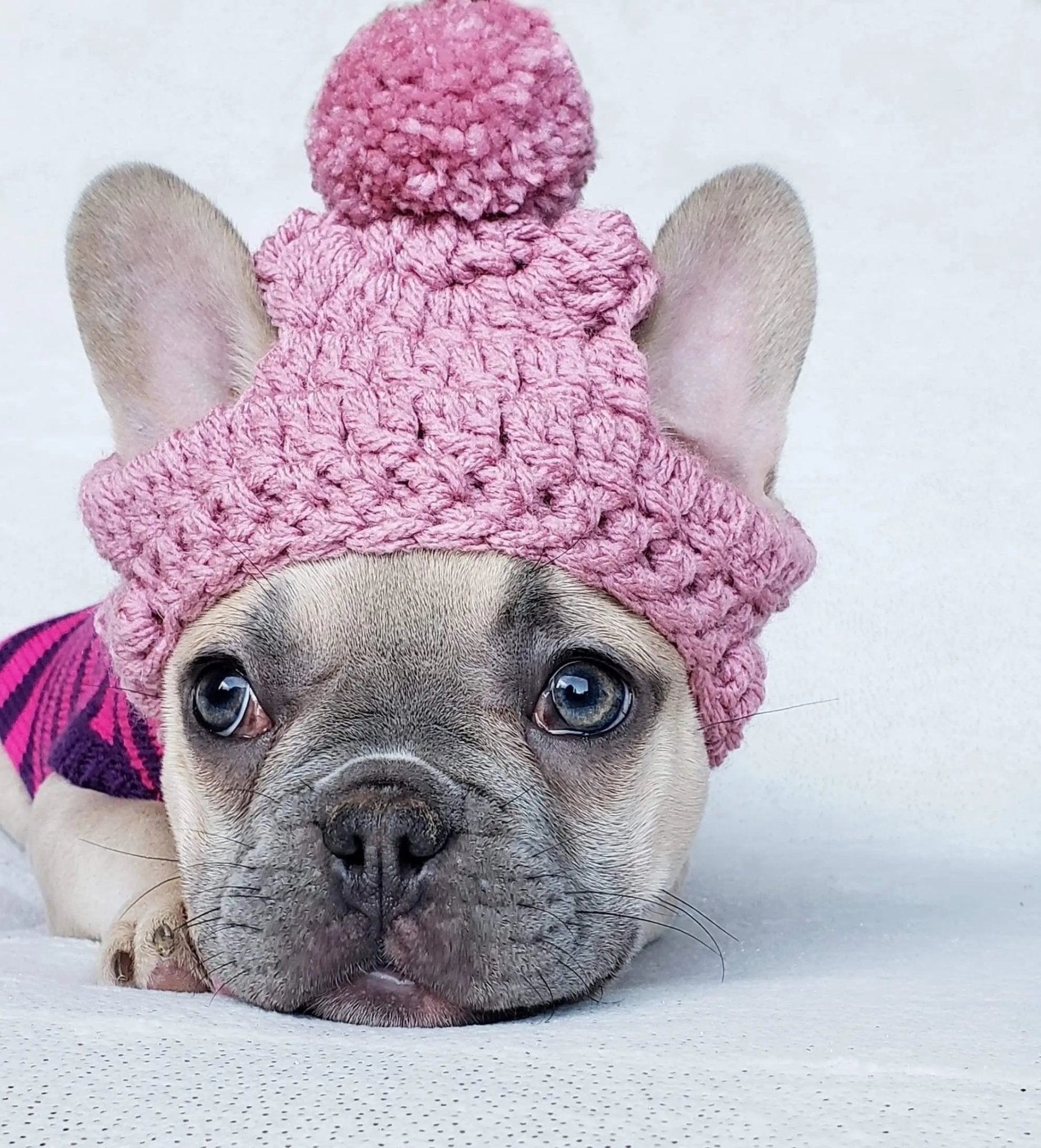 Pink and Purple Puppy Winter Hats - FancyBull Creations