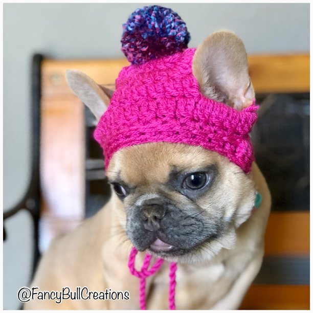 Pompom Dog Hat Knit Crochet Handmade - FancyBull Creations