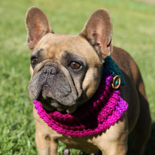 Load image into Gallery viewer, rainbow dog neck warmer fancybullcreations