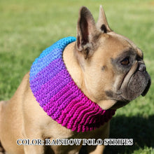 Load image into Gallery viewer, rainbow french bulldog clothing bully frenchie
