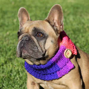 Crochet snood dog scarf pattern fancybullcreations