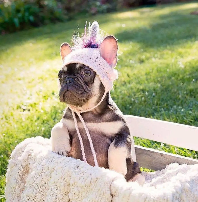 Handmade crochet Unicorn puppy dog hat FANCYBULL CREATIONS