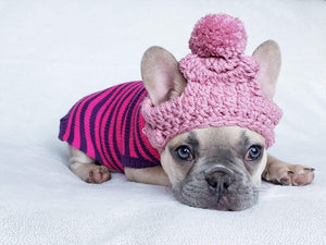 fawn french bulldog puppy wearing pink crochet beanie