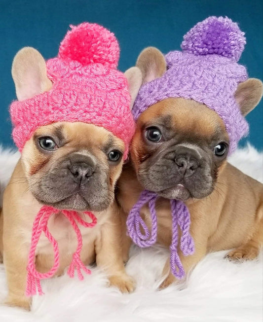 Winter Puppy Dog Hats Frenchie wear French Fashion FANCYBULL CREATIONS