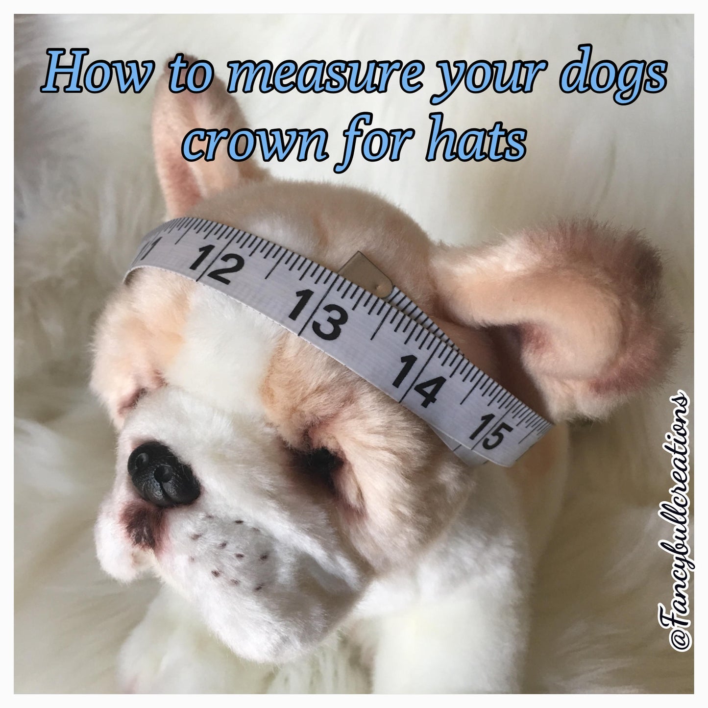 Winter Puppy Dog Hats Frenchie wear French Fashion FANCYBULL CREATIONS
